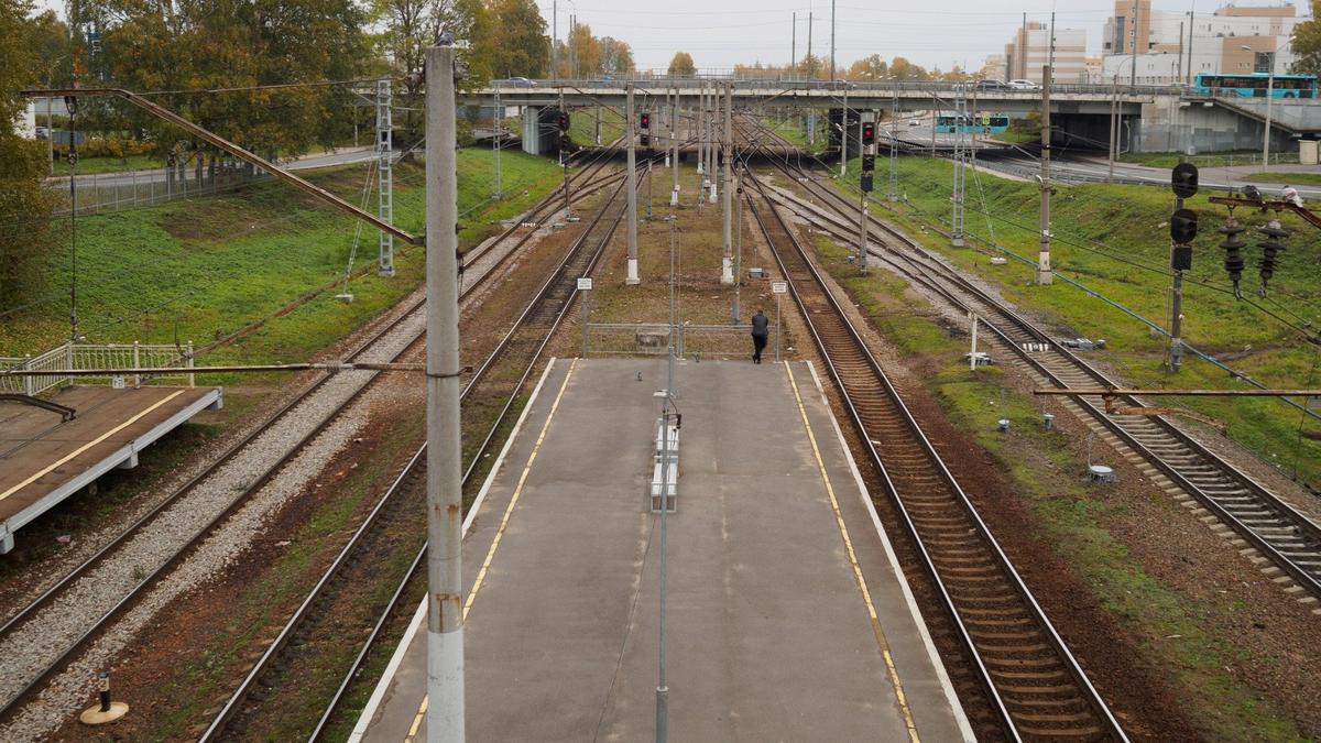 Фото: Дмитрий Абрамов / МР7