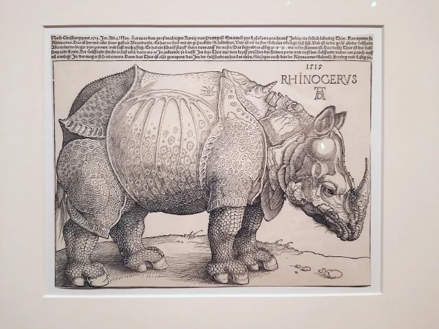 Дюрер ксилография Носорог 1515 год Государственный Эрмитаж.jpg