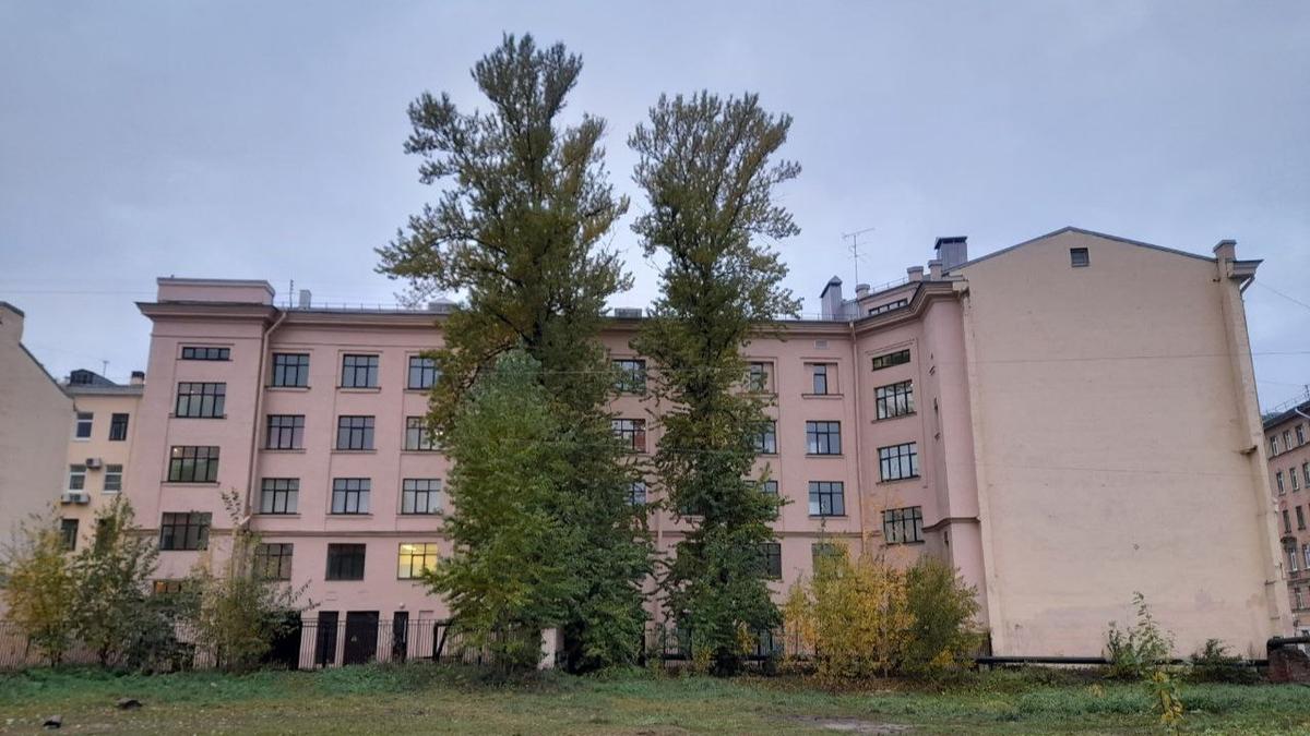 Кладбище первостроителей Петербурга не имеет статуса памятника «на основании приказа Минкульта»