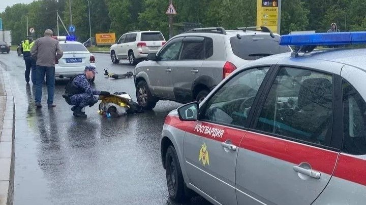 Фото: ГУ Росгвардии по Петербургу и Ленобласти