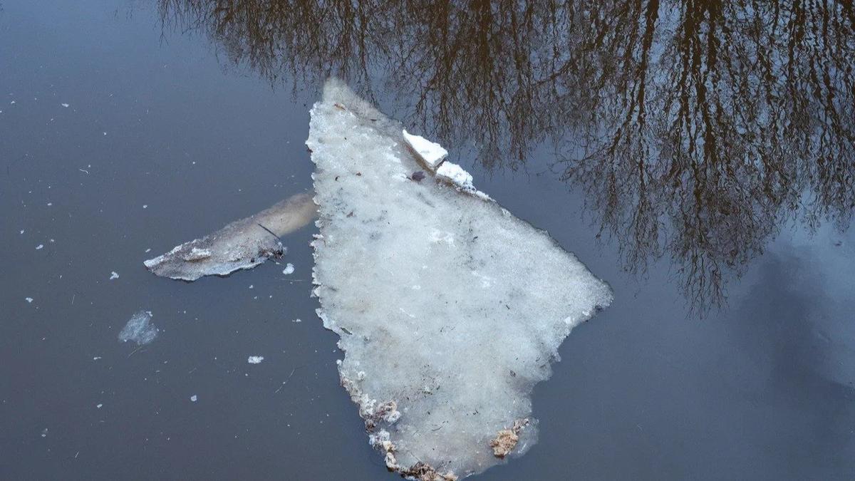 Фото: Олег Золото / MR7