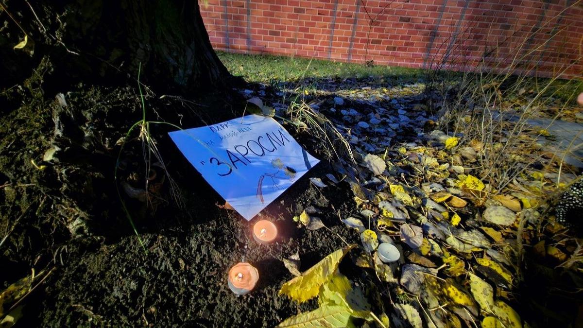 Фото: читатель MR7