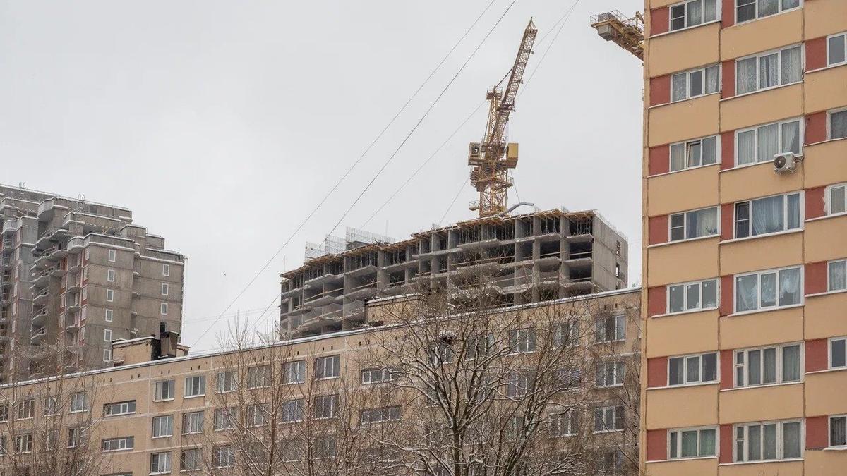 Фото: Олег Золото / МР7