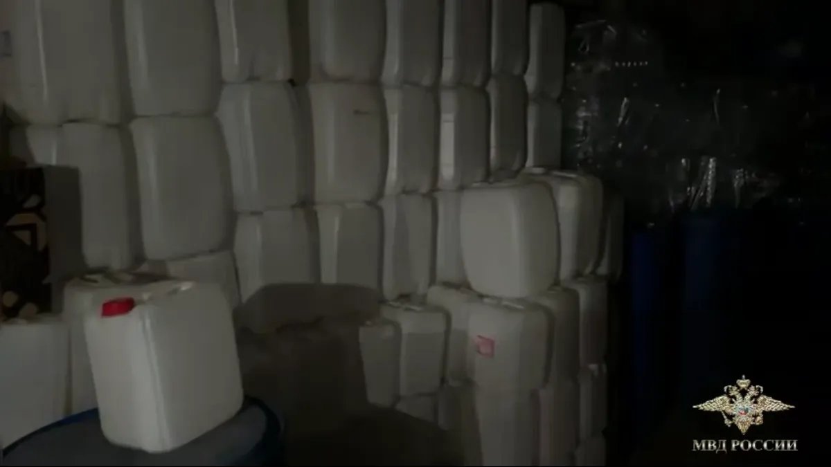 Фото: telegram-канал Ирины Волк