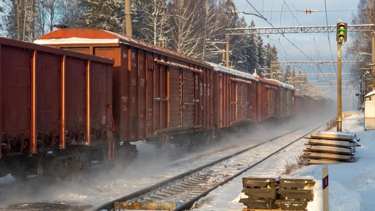 Фото: Олег Золото / MR7