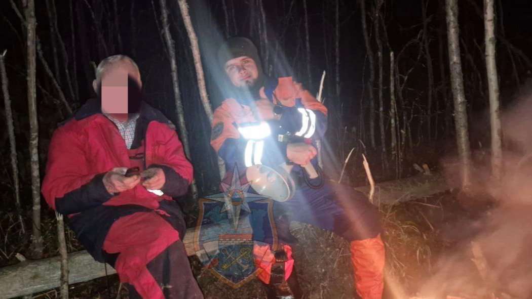 В Ленобласти спасли пожилого мужчину, заблудившегося в лесу под Лугой