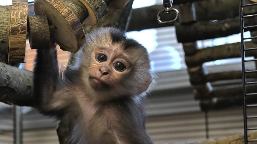 Фото: Ленинградский зоопарк