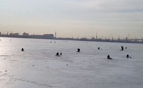 Фото: скриншот видео «Мой Питер»