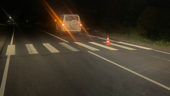 Фото: МВД по Петербургу и Ленобласти