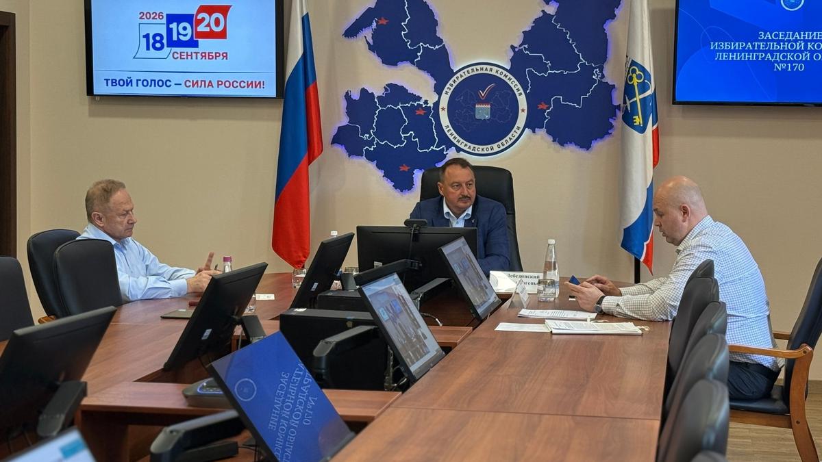 Фото: избирательная комиссия Ленобласти
