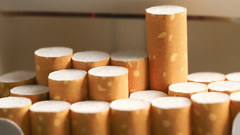 Фото: Shutterstock