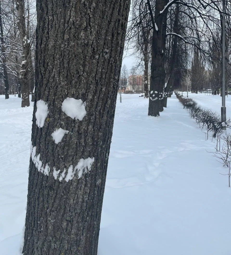 Фото: комитет по благоустройству