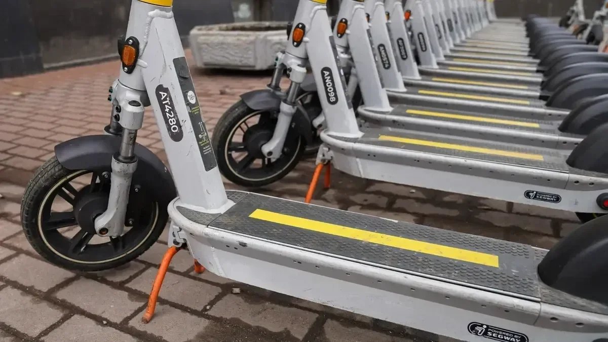 Фото: Виктория Арефьева / MR7