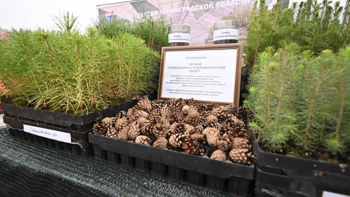 Фото: Александр Дрозденко