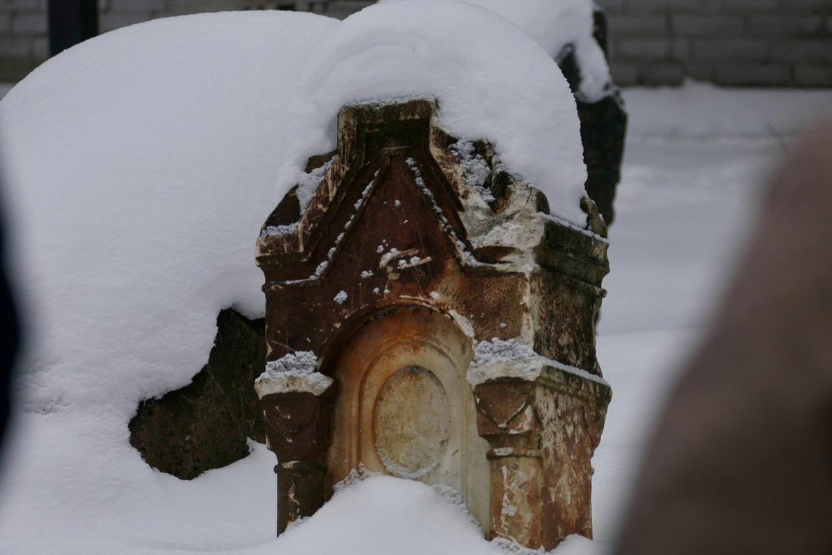 Фото: Дарья Дмитриева / MR7