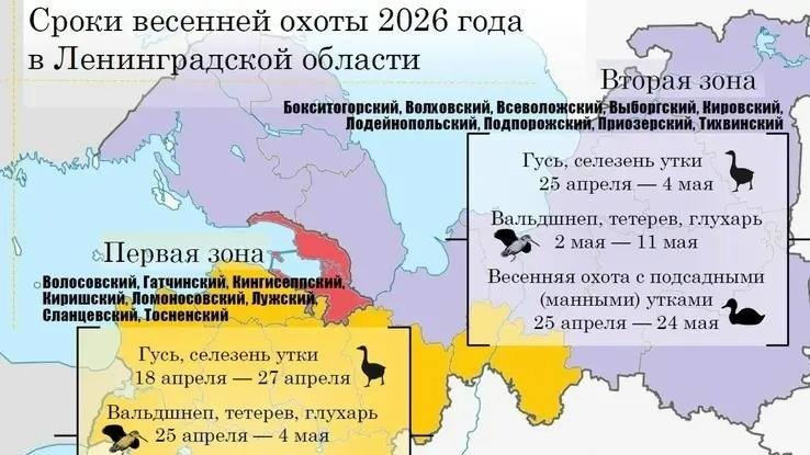 Фото: « Админка Ленобласти »