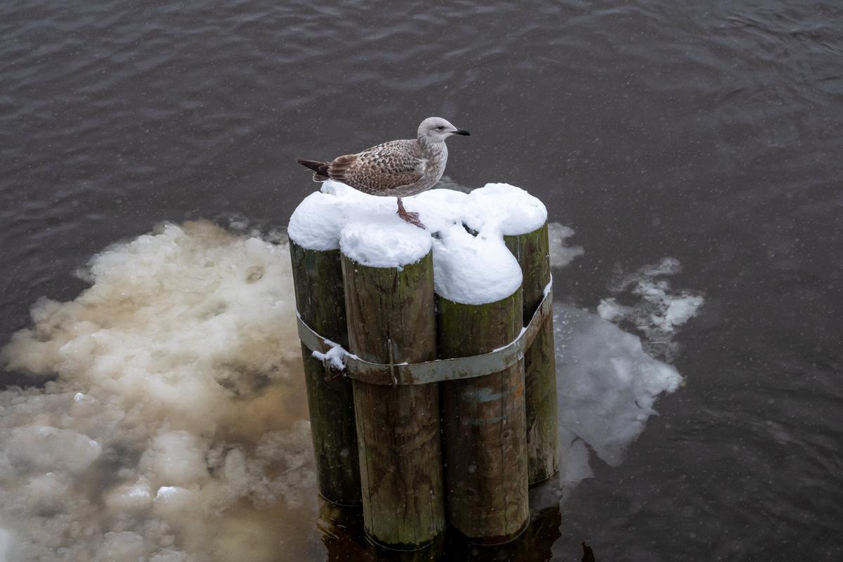 Фото: Олег Золото / MR7