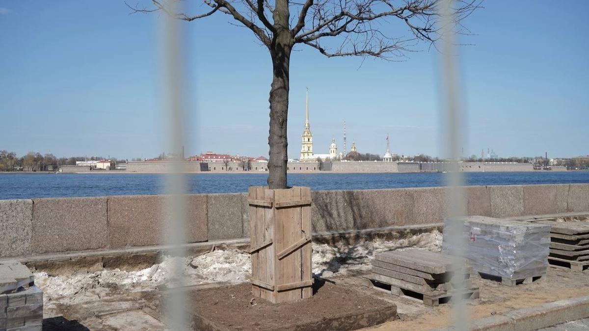 Фото: Павел Борисенко / МР7