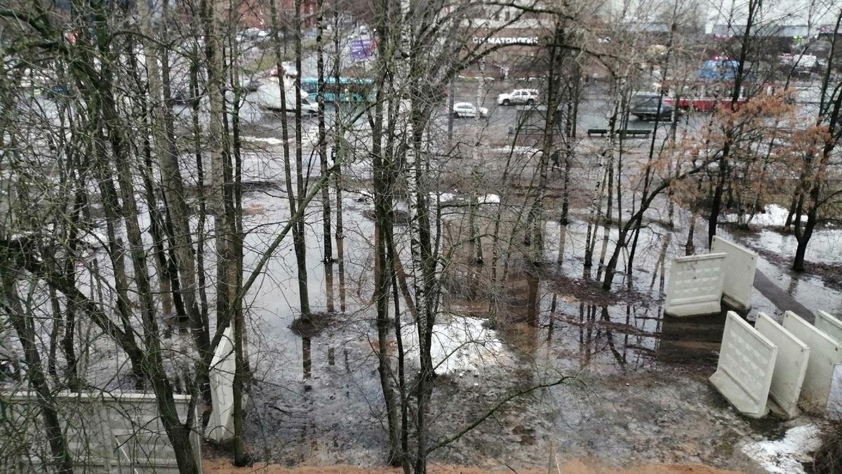 Петербуржцы просят проверить «бумажное» благоустройство сквера на проспекте Науки