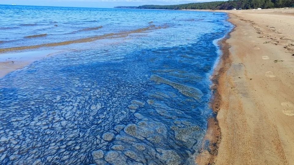 Фото: BL Сосновый Бор