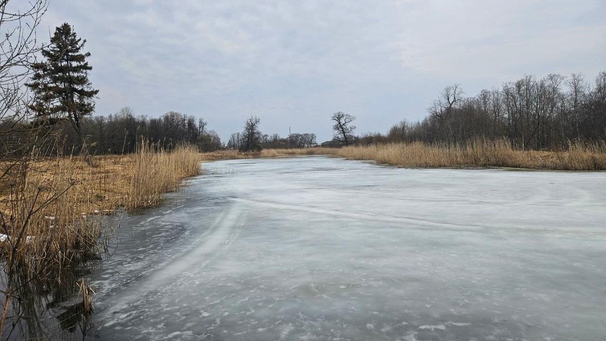 Фото: telegram-канал Владимира Цоя