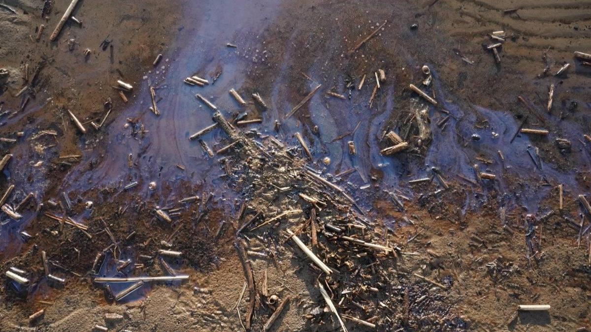 Фото: Павел Борисенко / МР7