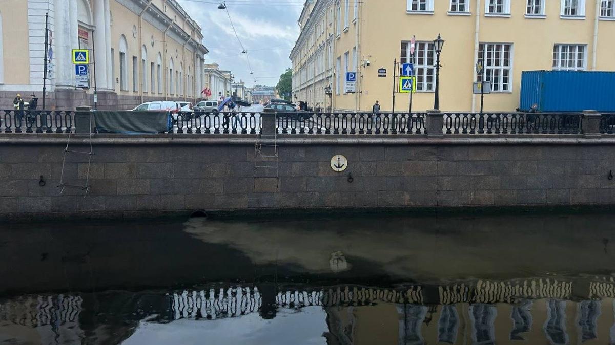 Фото: Дарья Дмитриева / MR7