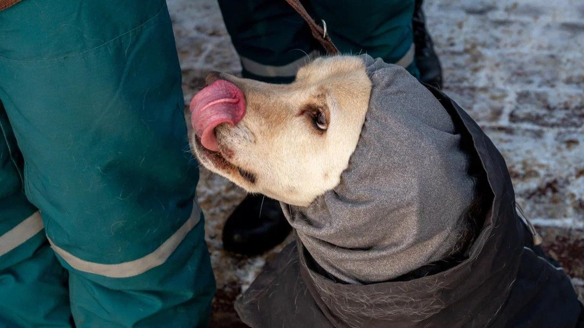 Фото: Олег Золото / MR7