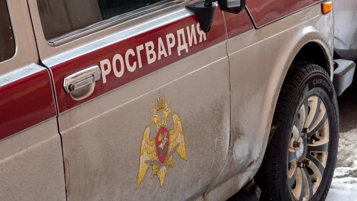 Фото: Олег Золото / MR7