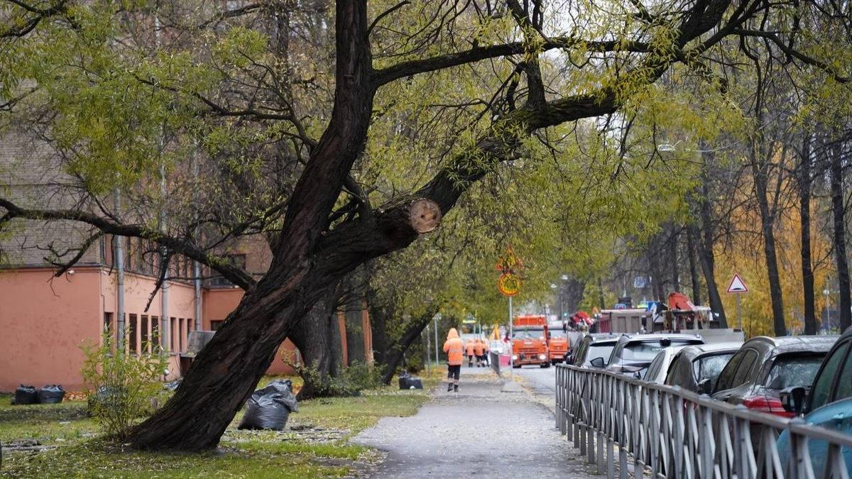 Это тоже Петербург. Вокруг провала