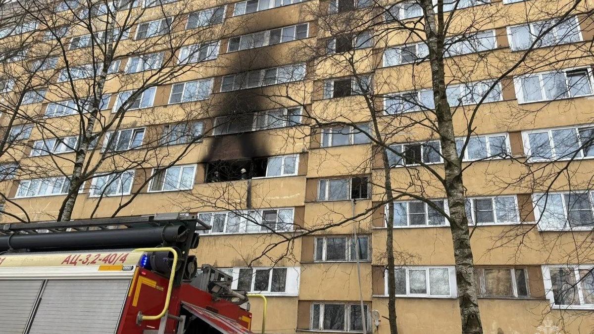 Фото: МЧС Петербурга