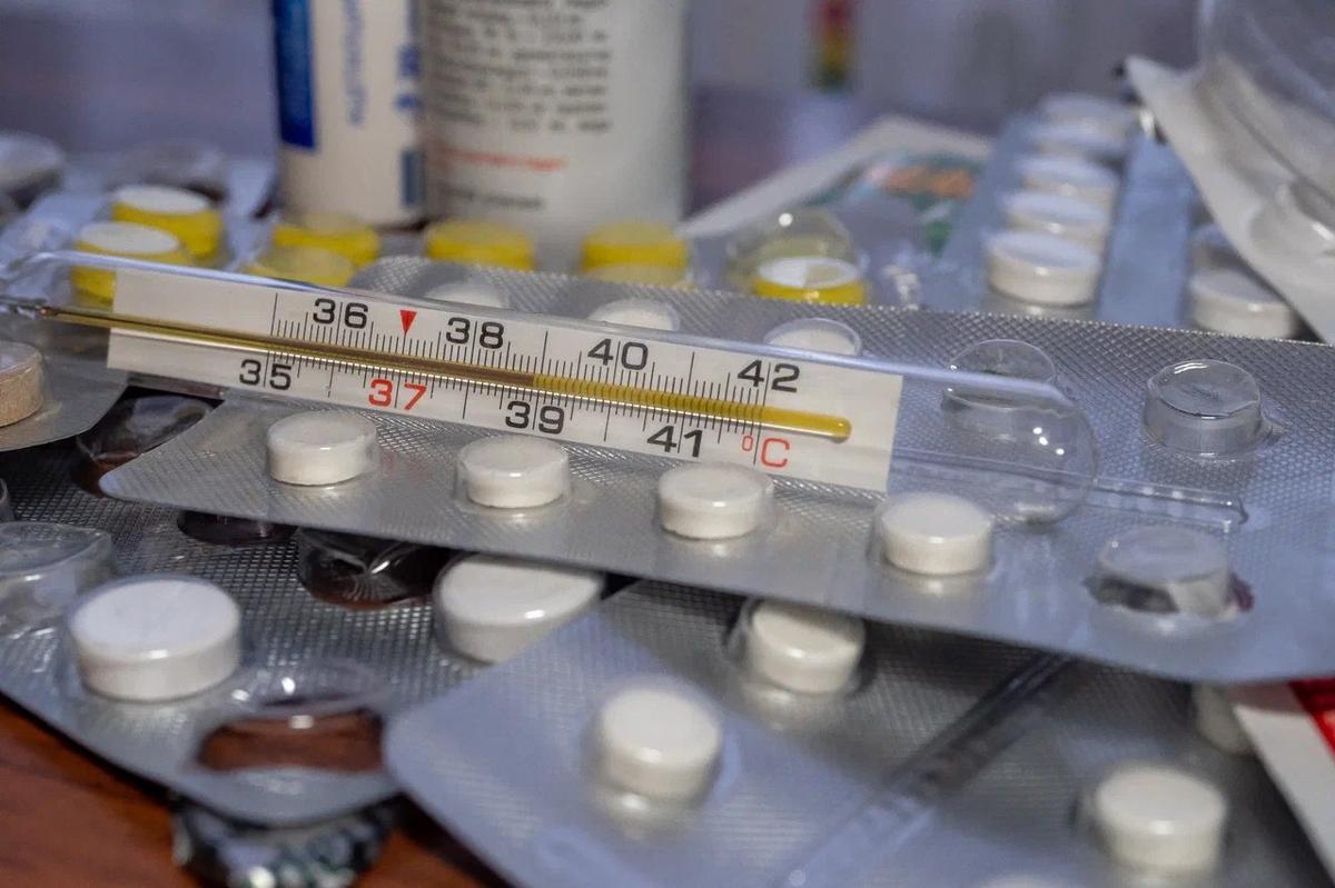 Как отличить сезонный свиной грипп от коронавируса. В комздраве ...