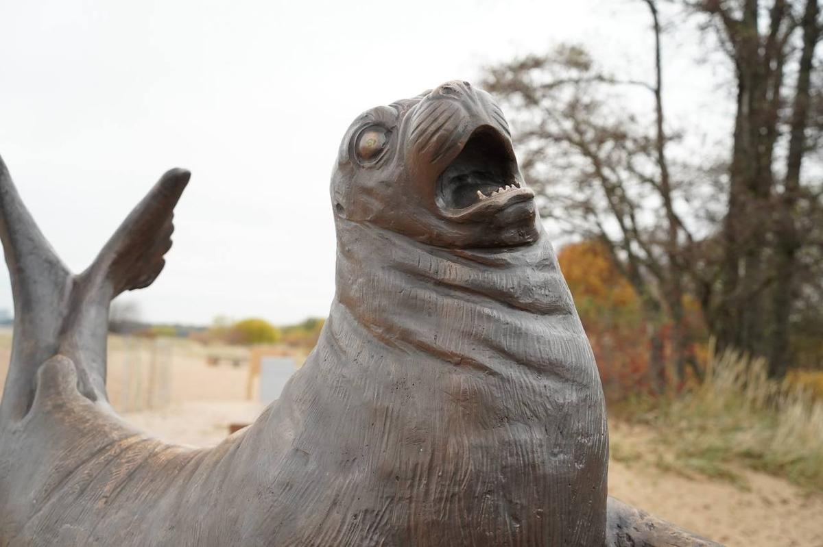 Фото: Павел Борисенко / MR7