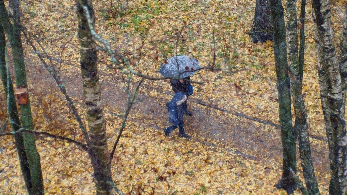 Фото: Дмитрий Абрамов / MR7