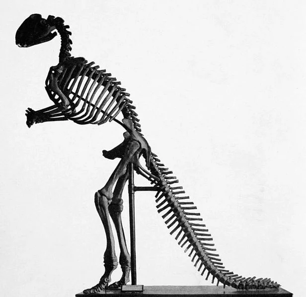 Hadrosaurus_mount