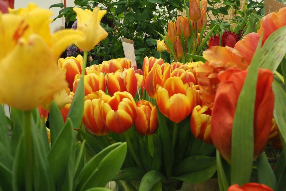 Фото: Олег Золото / MR7