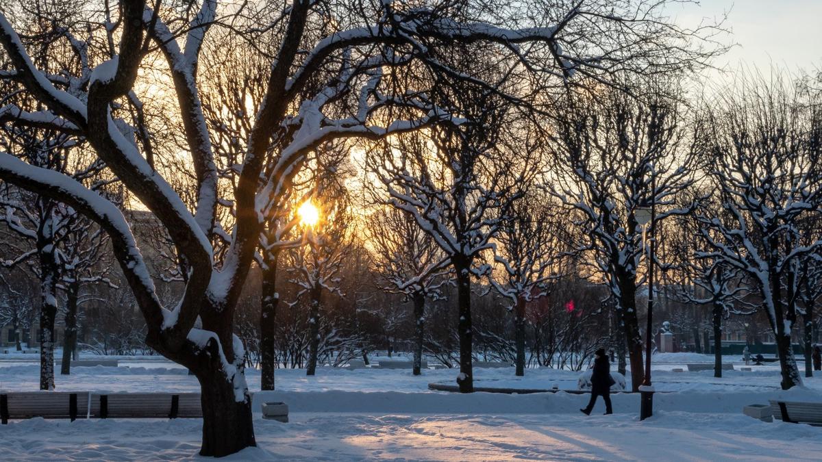 Фото: Олег Золото / MR7