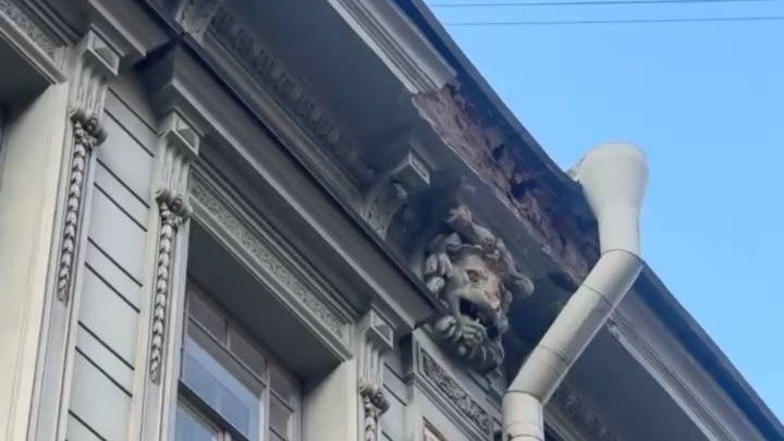 Фото: прокуратура Петербурга