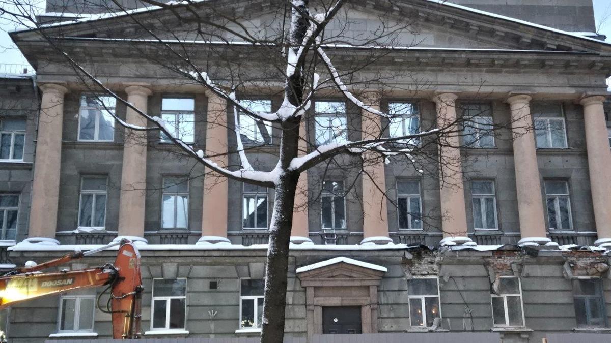 Фото: Виктория Арефьева / MR7