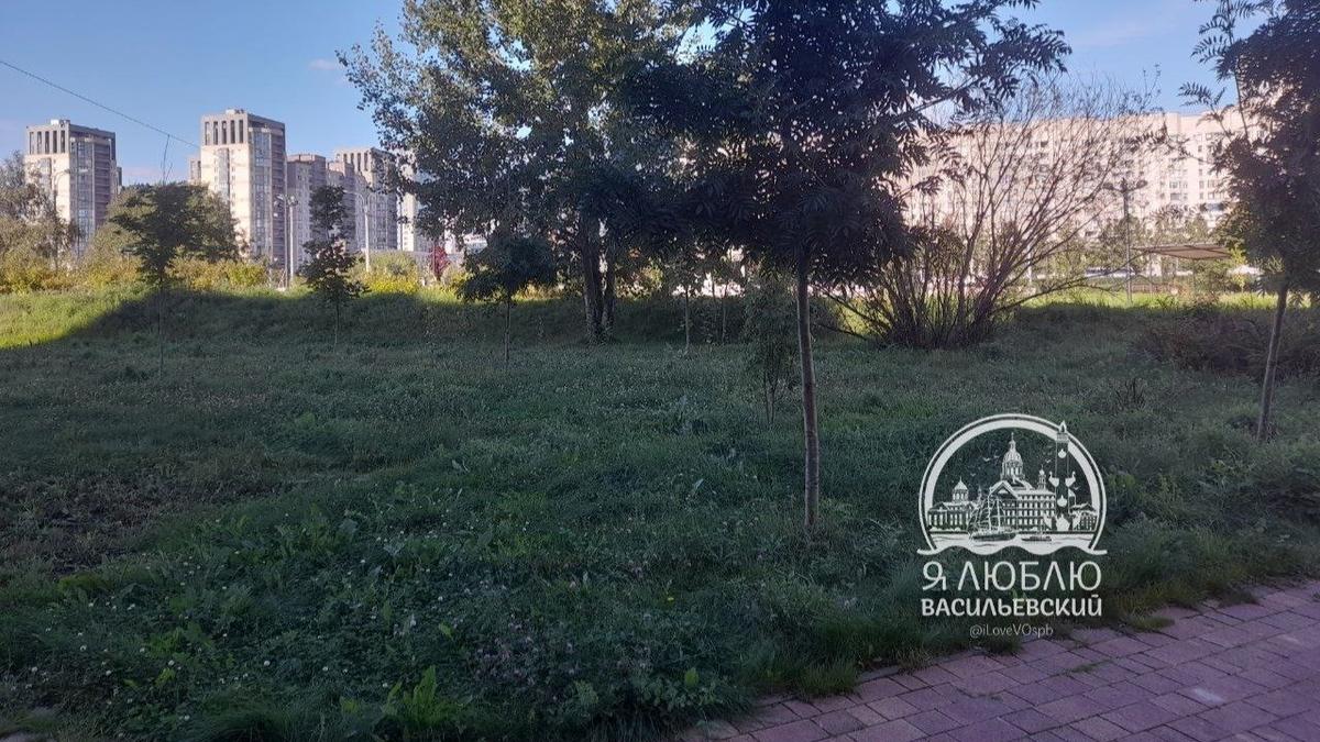 Фото: telegram-канал «Я люблю Васильевский остров»