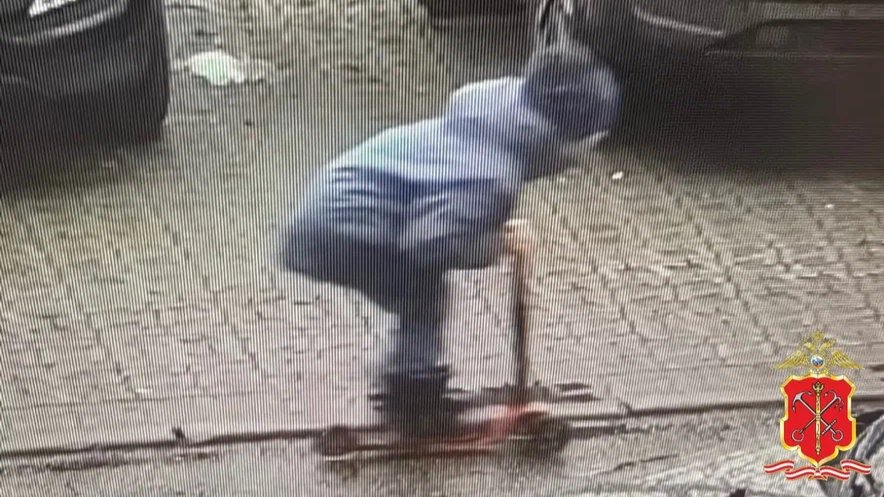 Фото: МВД по Петербургу и Ленобласти