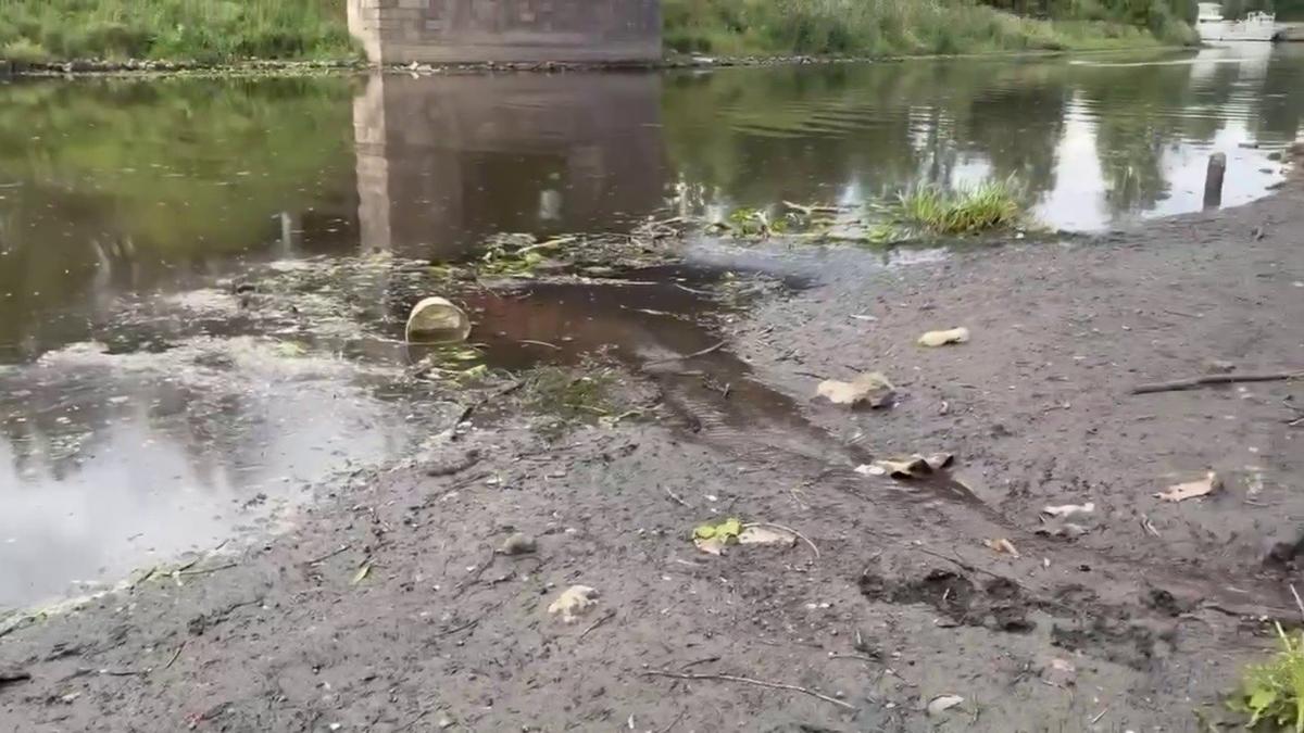 Скриншот видео: Росприроднадзор по СЗФО