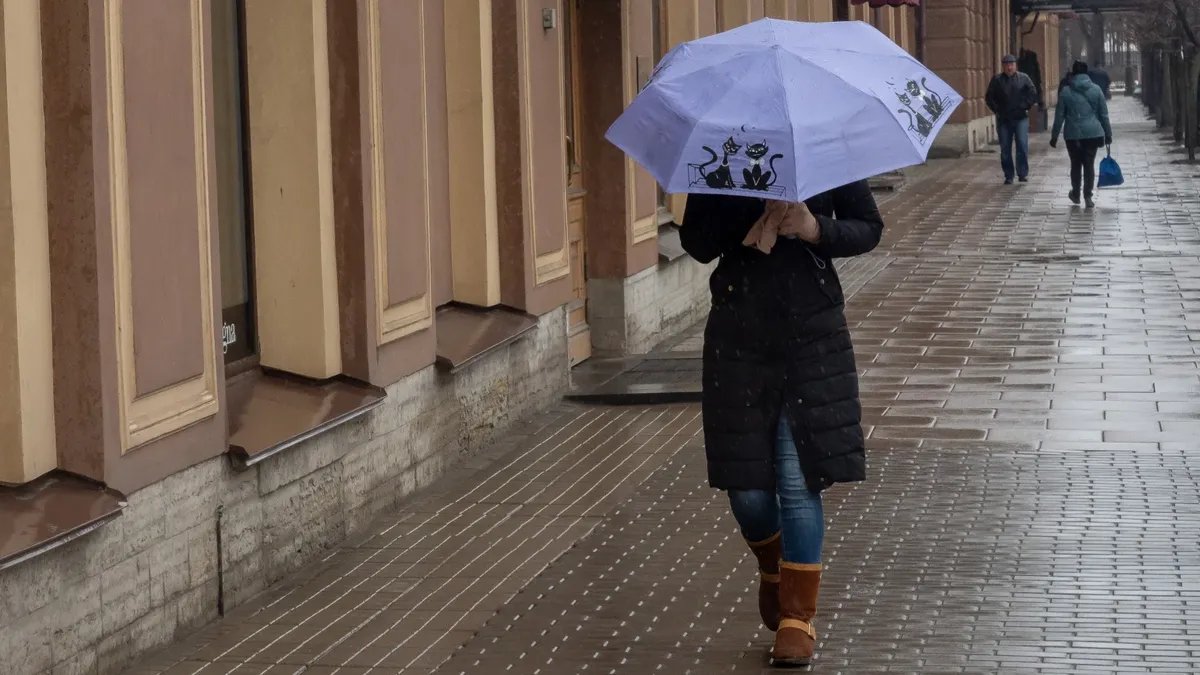 Фото: Олег Золото / МР7