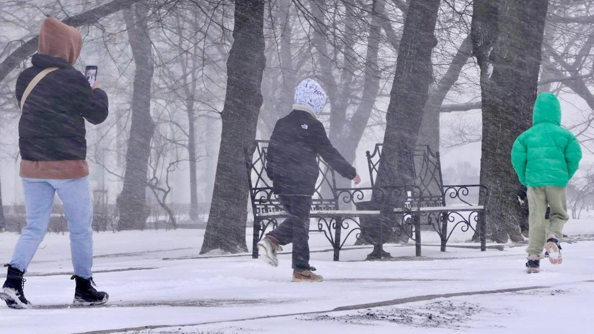 Фото: Павел Даиси / MR7