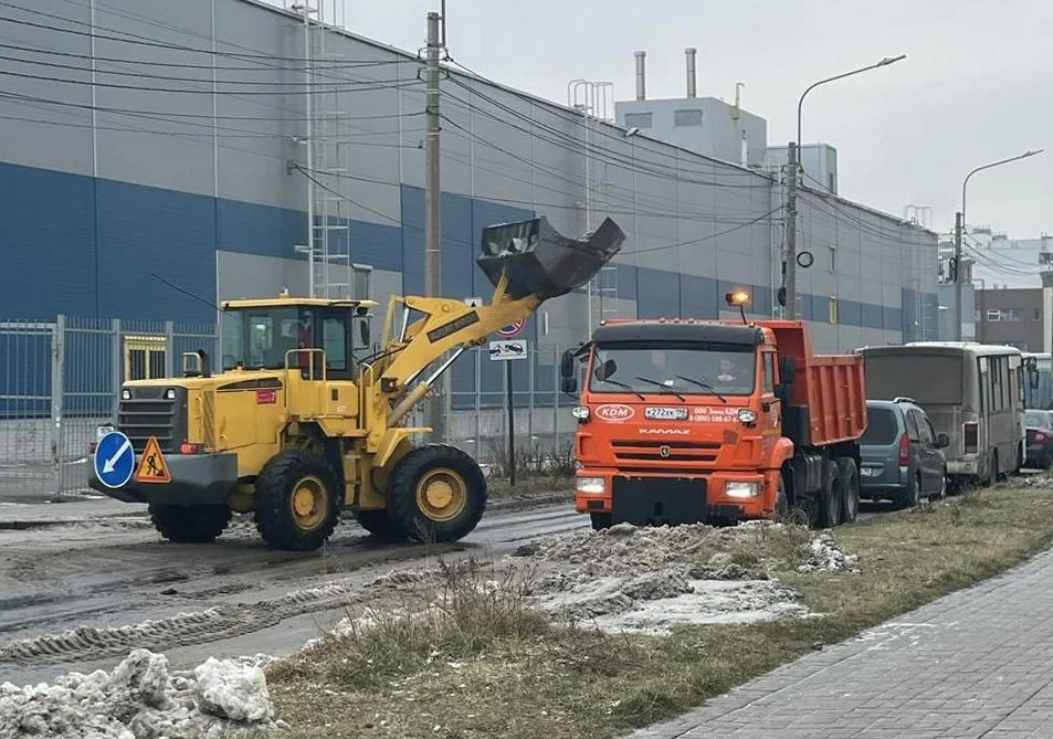 Фото: пресс-служба комитета по благоустройству