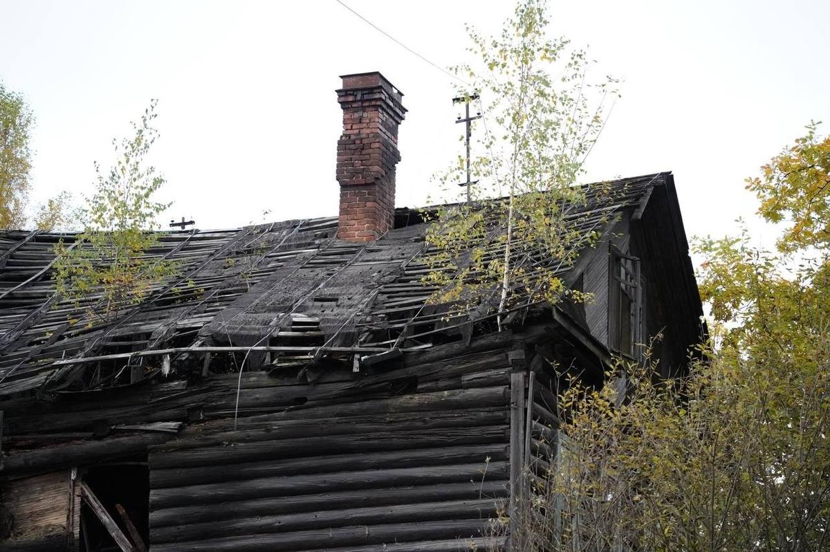 Фото: Павел Борисенко / MR7