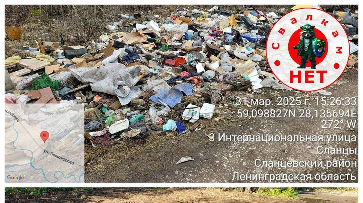 Фото: Эконадзор