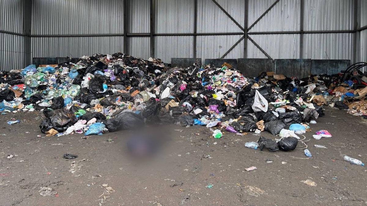 Фото: ГСУ СК по Петербургу