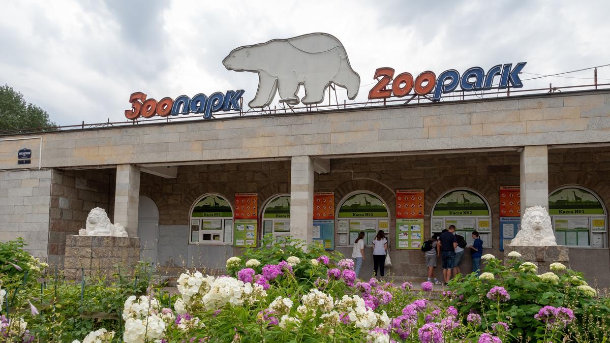 Новым директором Ленинградского зоопарка стал Юрий Журавлев