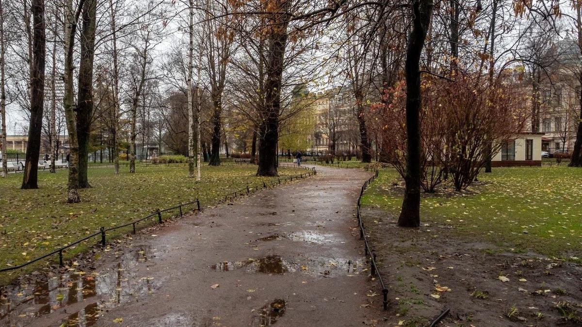 Фото: Олег Золото / MR7